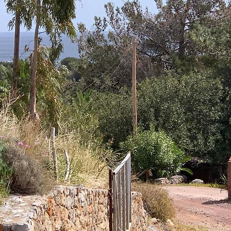 Villa Sea View Mesa Mpanta Káto Zákros Εξωτερικό φωτογραφία