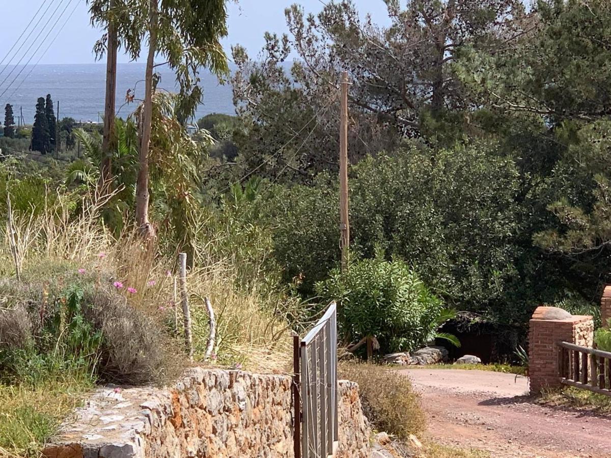 Villa Sea View Mesa Mpanta Káto Zákros Εξωτερικό φωτογραφία