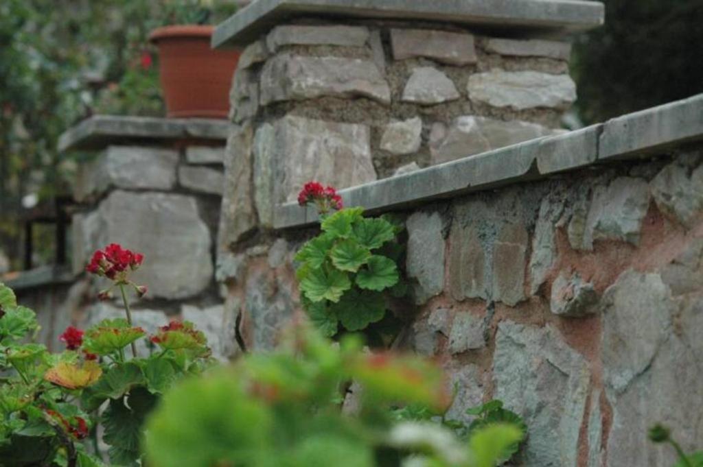 Villa Sea View Mesa Mpanta Káto Zákros Εξωτερικό φωτογραφία